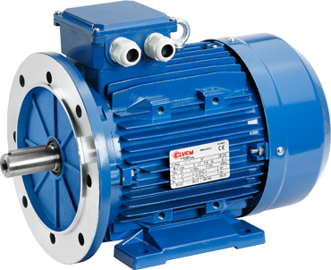 ELVEM 2-SPEED MOTOR TYPE 6AP 90L 4/8 (1400/670 RPM, 1.5/081 HP, 50Hz, 14 KG, IP 55)