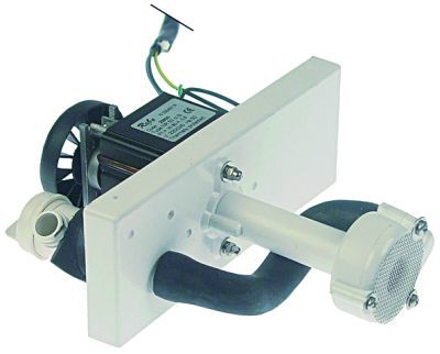 REBO PUMP (230V, 55W, 1P, 60 HZ)