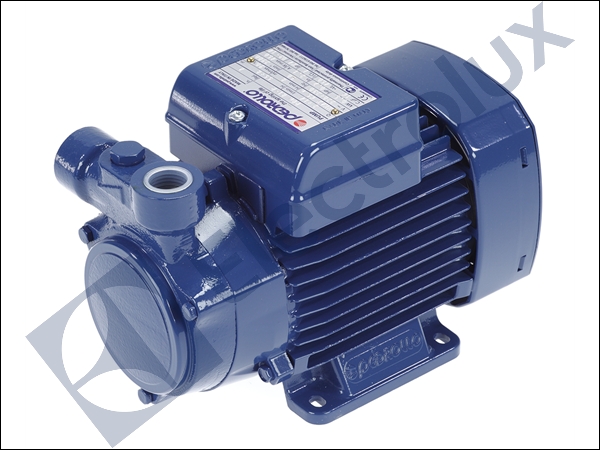 PUMP (220/230V 50Hz 0.5KW 2900 MIN)