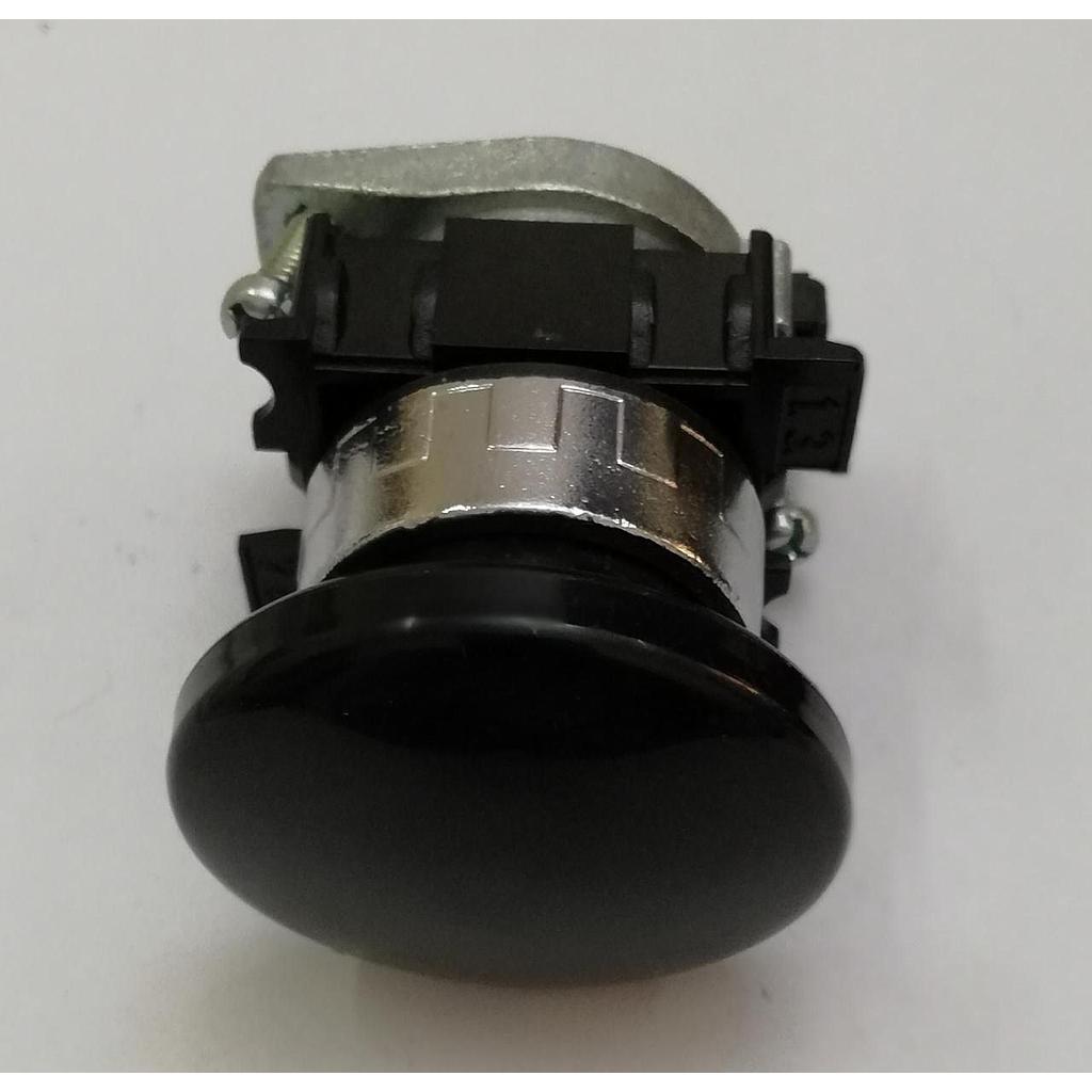 PUSHBUTTON