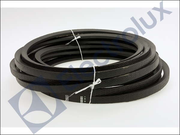 RIBBED BELT