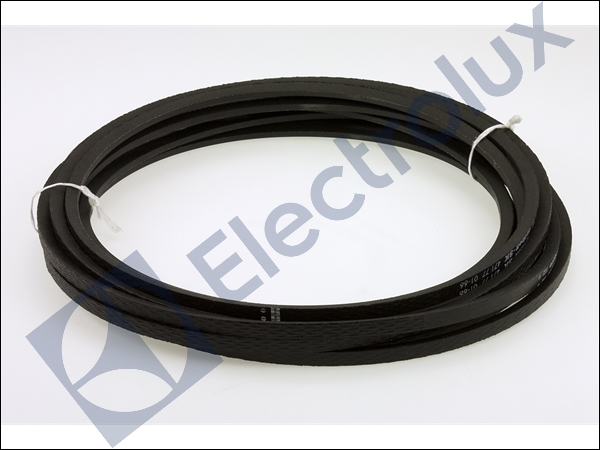 RIBBED BELT
