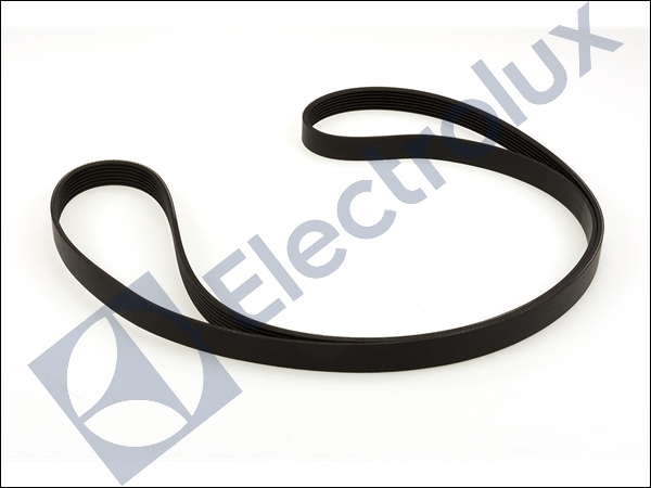 RIBBED BELT