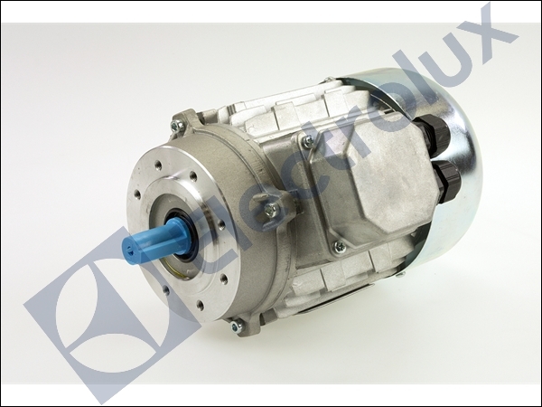 FAN MOTOR