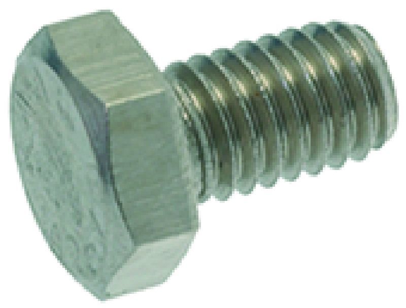 HEXAGONAL HEAD SCREW (M6 x 10 mm)